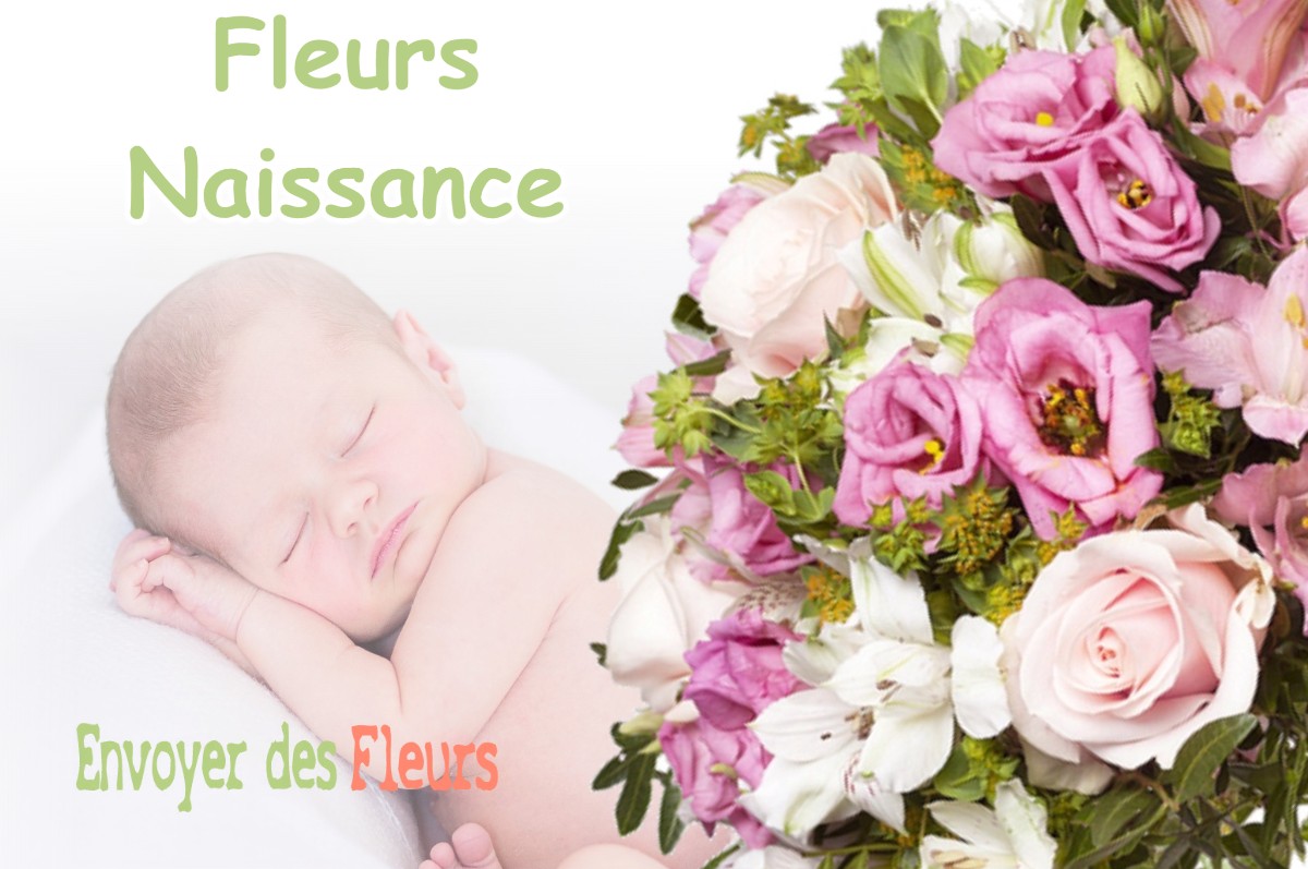 lIVRAISON FLEURS NAISSANCE à LA-FRASNEE